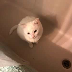 Meet your Posher, Tanya